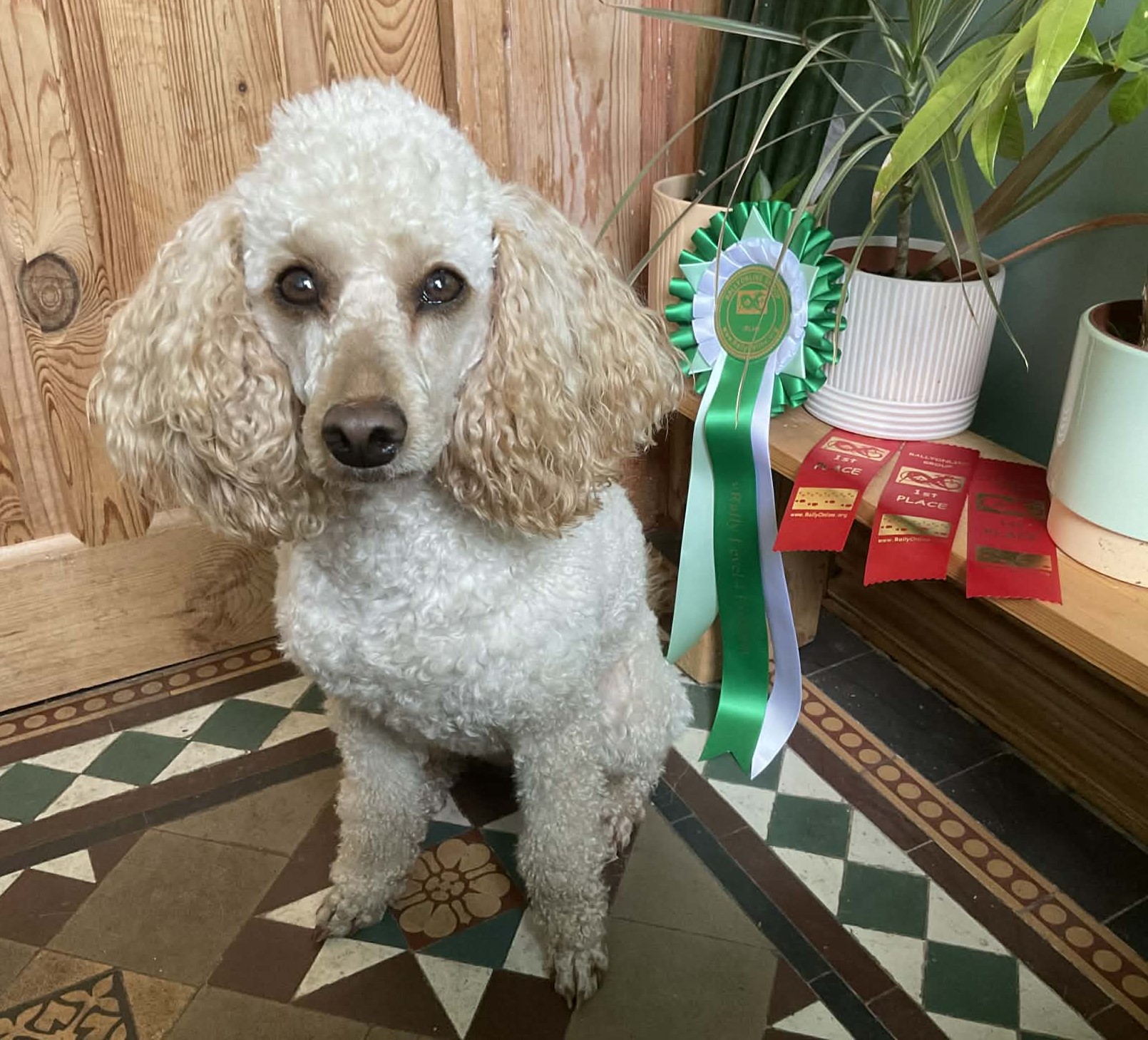 Happy wins her third L4 Rally Online Competition!