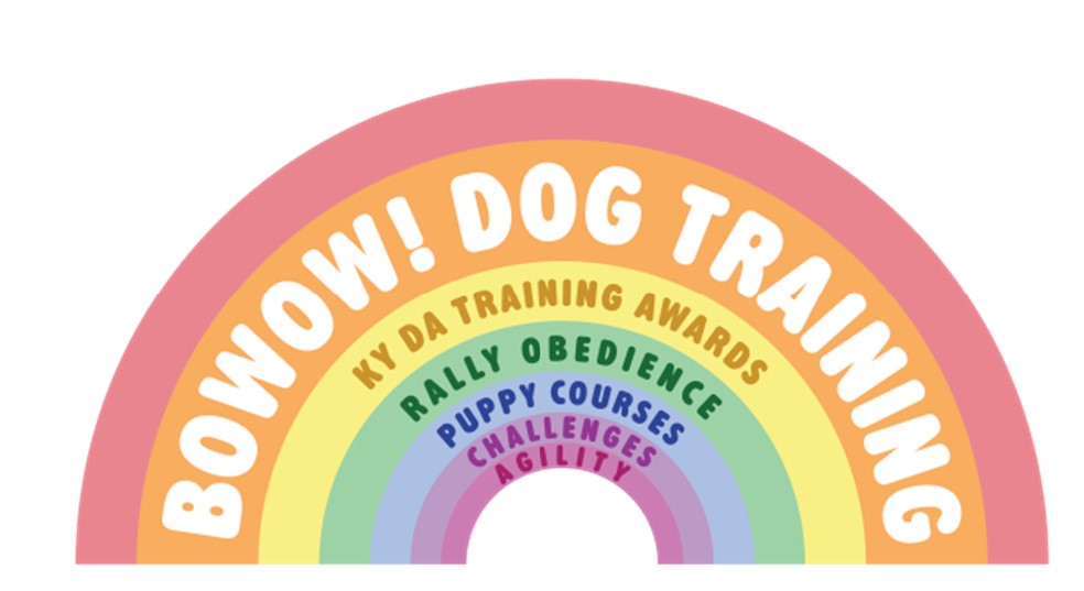 Exciting News!  The new BOWOW DTC website is launched, with the facility to book classes and courses directly from the site.